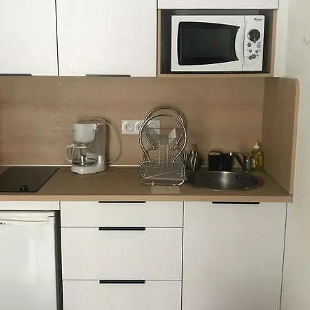 Apartment Cosy Aux Pieds Des Pistes Avec Balcon Et Coin Montagne - La Joue Du Loup - Fr-1-504-621